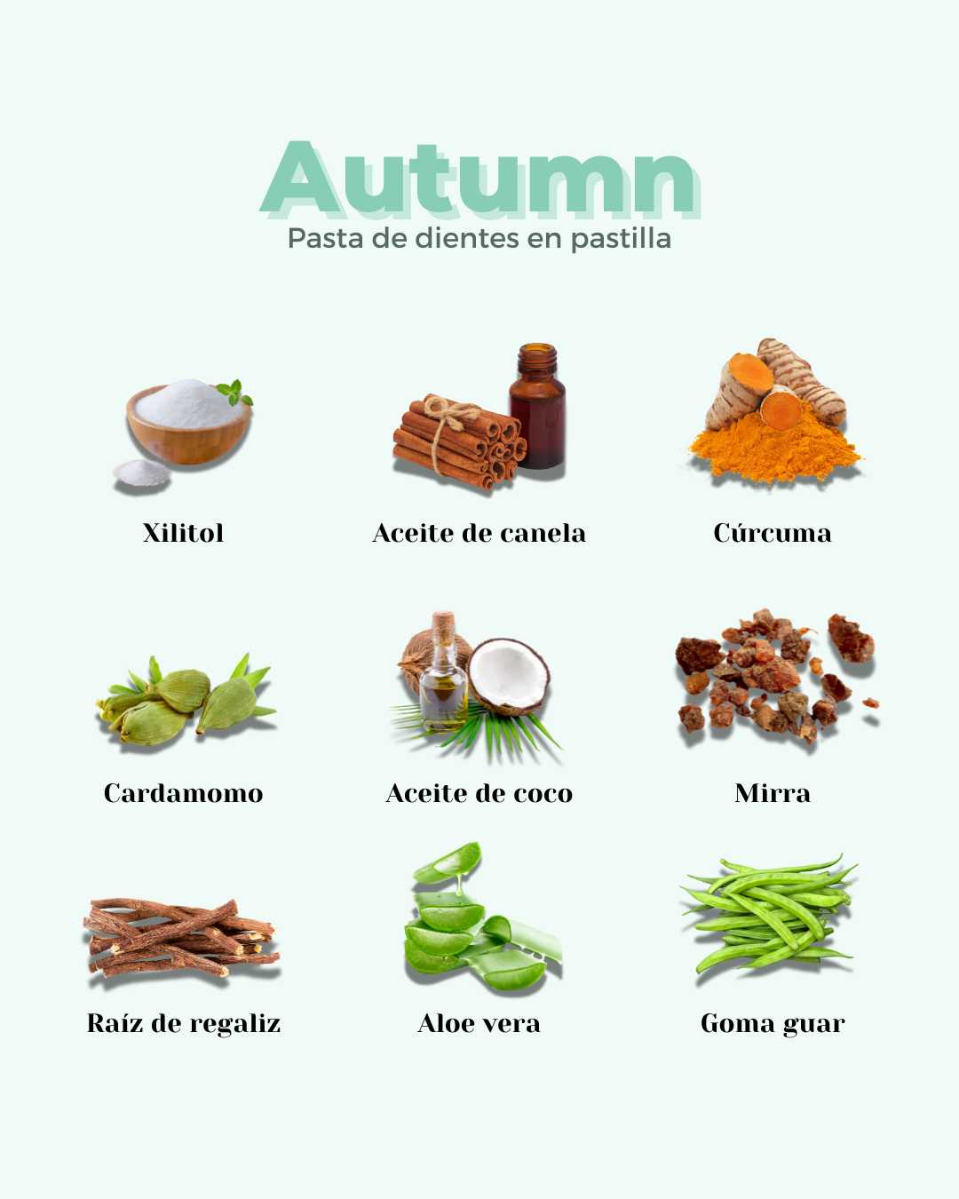 Infografía Banbu: muestra los 9 ingredientes naturales de la pasta de dientes en pastilla Autumn sobre fondo claro.