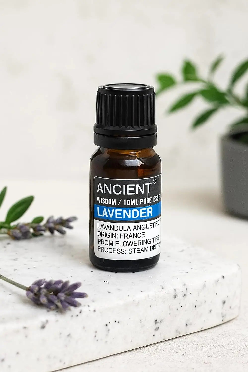 Aceite Esencial Lavanda - 10ml