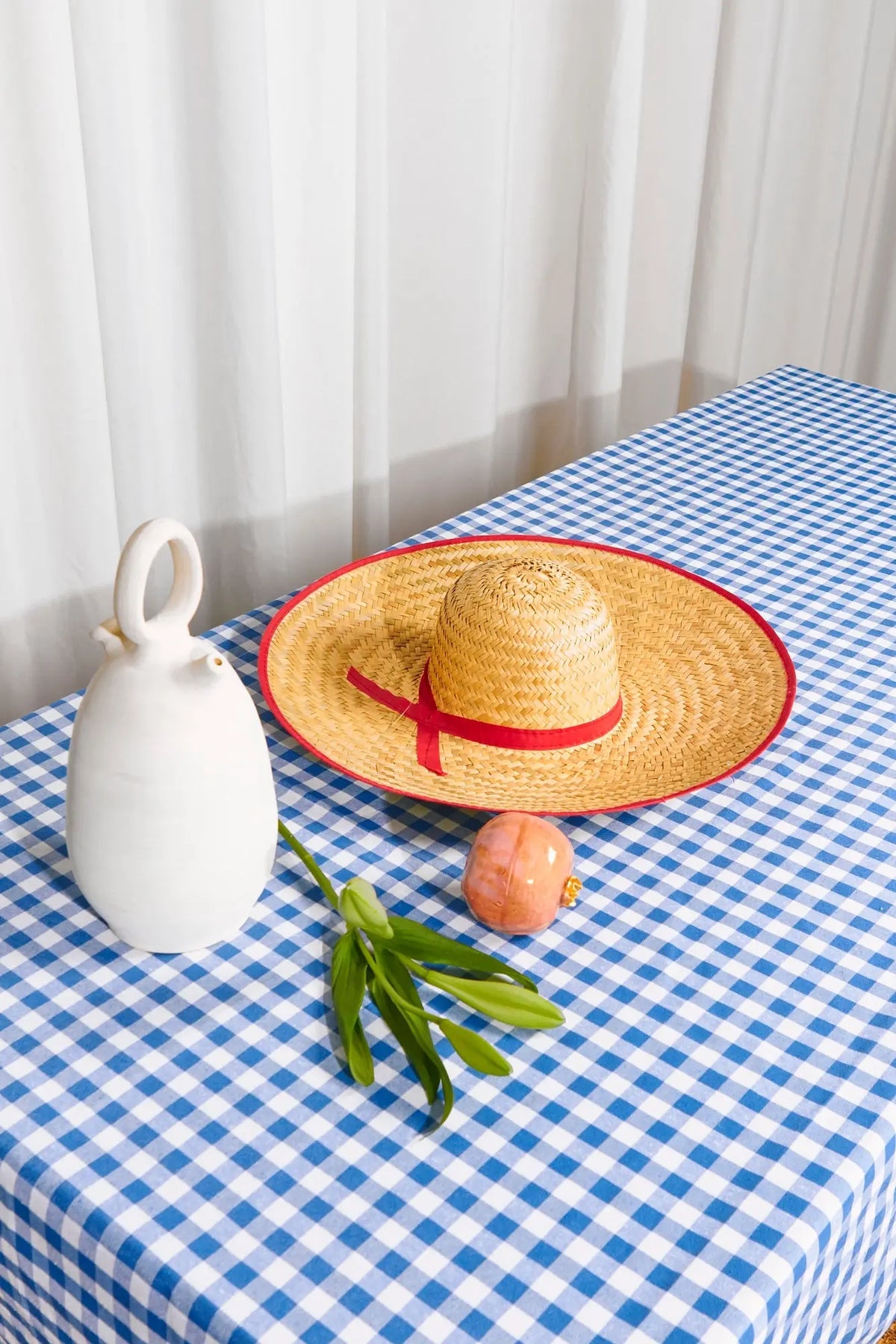 Sombrero de paja con cinta roja, jarrón blanco, esfera rosada y planta verde sobre mantel a cuadros azul y blanco.