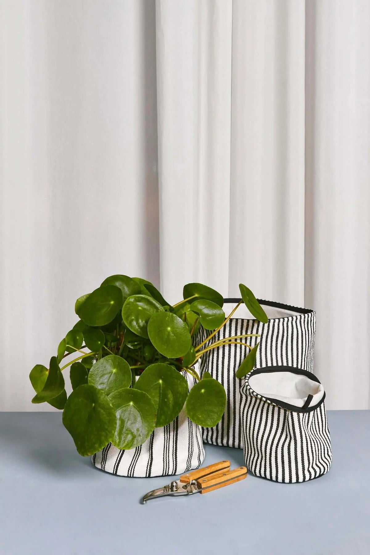 Cestos de loneta a rayas blancas y negras con una planta de hojas verdes sobre una mesa, estilo moderno y minimalista.