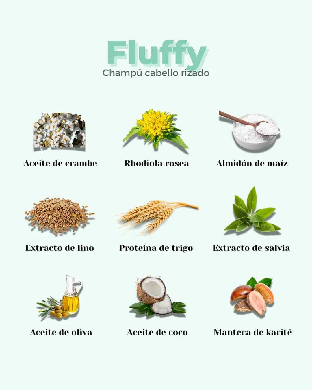 Infografía sobre ingredientes naturales del champú sólido para rizos Fluffy de Banbu sobre fondo verde claro.