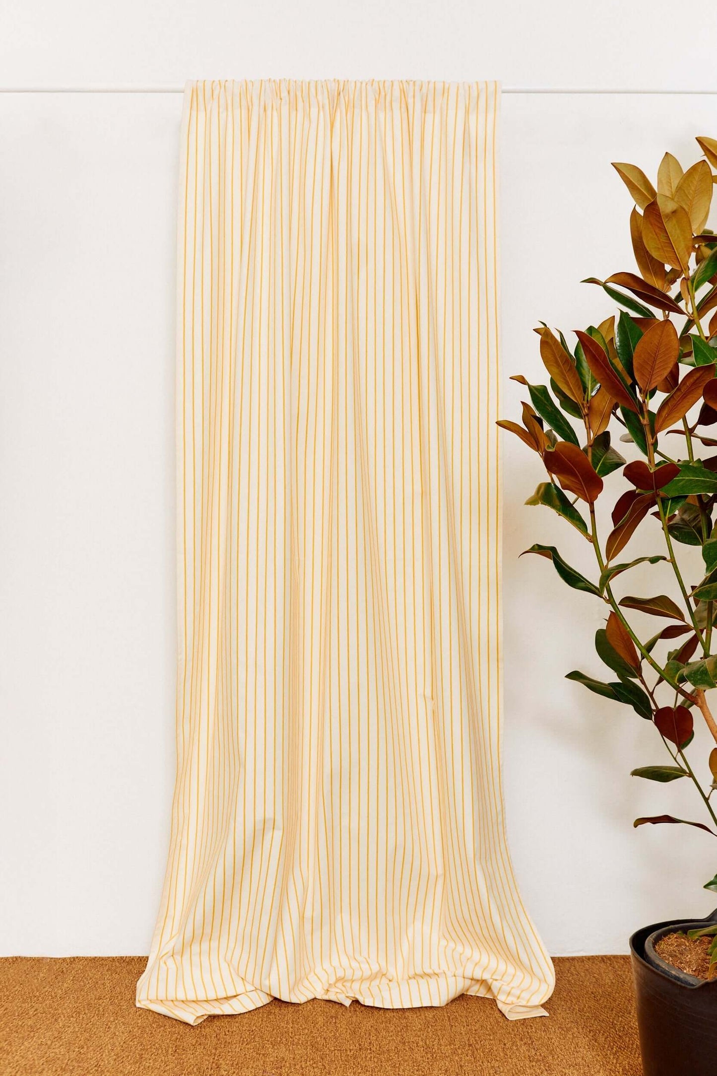 Yellow and white vertically striped curtain hanging against a white wall next to a leafy green plant.