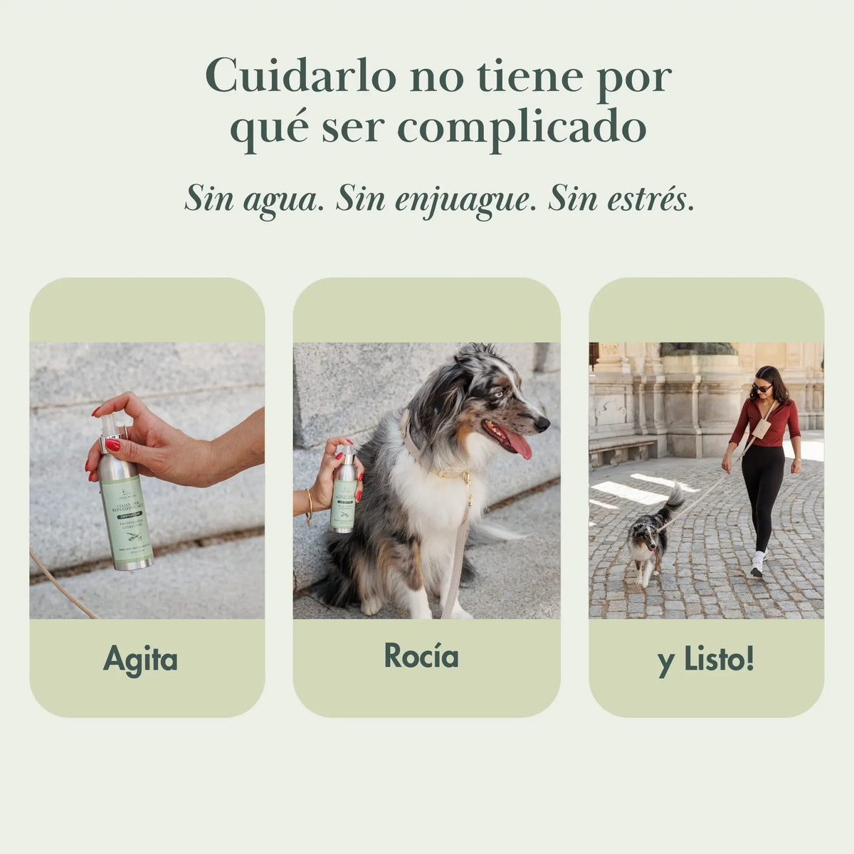 Spray sin agua para mascotas en botella verde, fácil de usar, estilo moderno, perfecto para limpieza rápida.