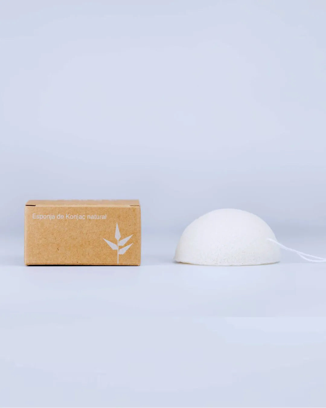 Esponja facial blanca de Konjac Banbu junto a su caja de cartón reciclado con logo sobre fondo gris claro.