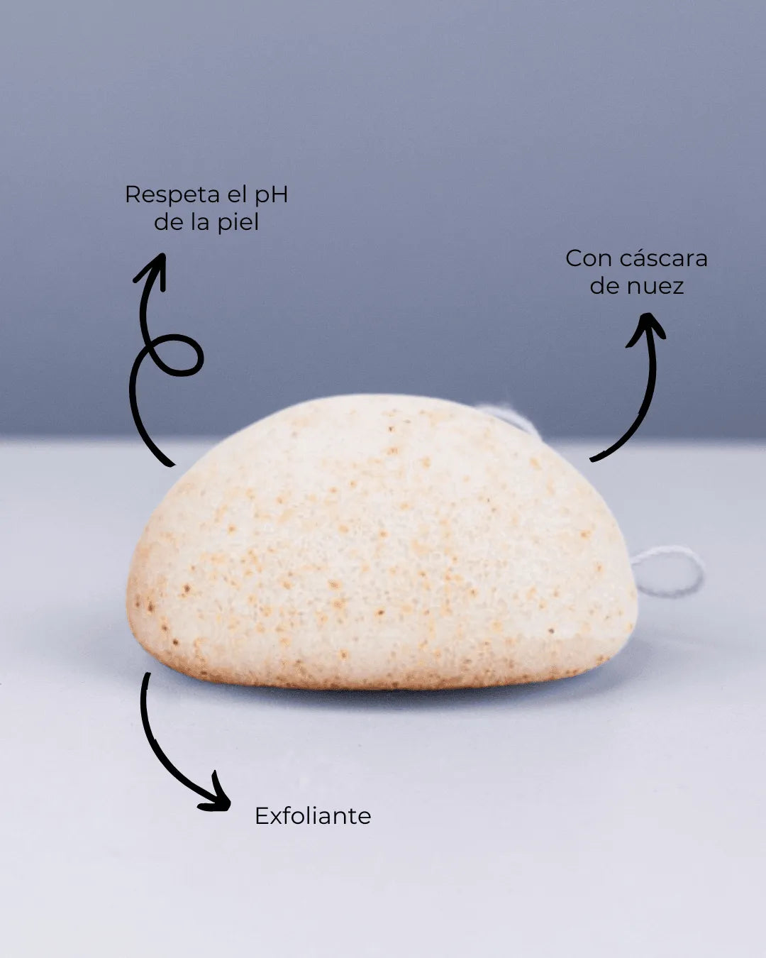 Esponja Konjac exfoliante Banbu de color crema con partículas de nuez sobre fondo gris, con etiquetas explicativas.