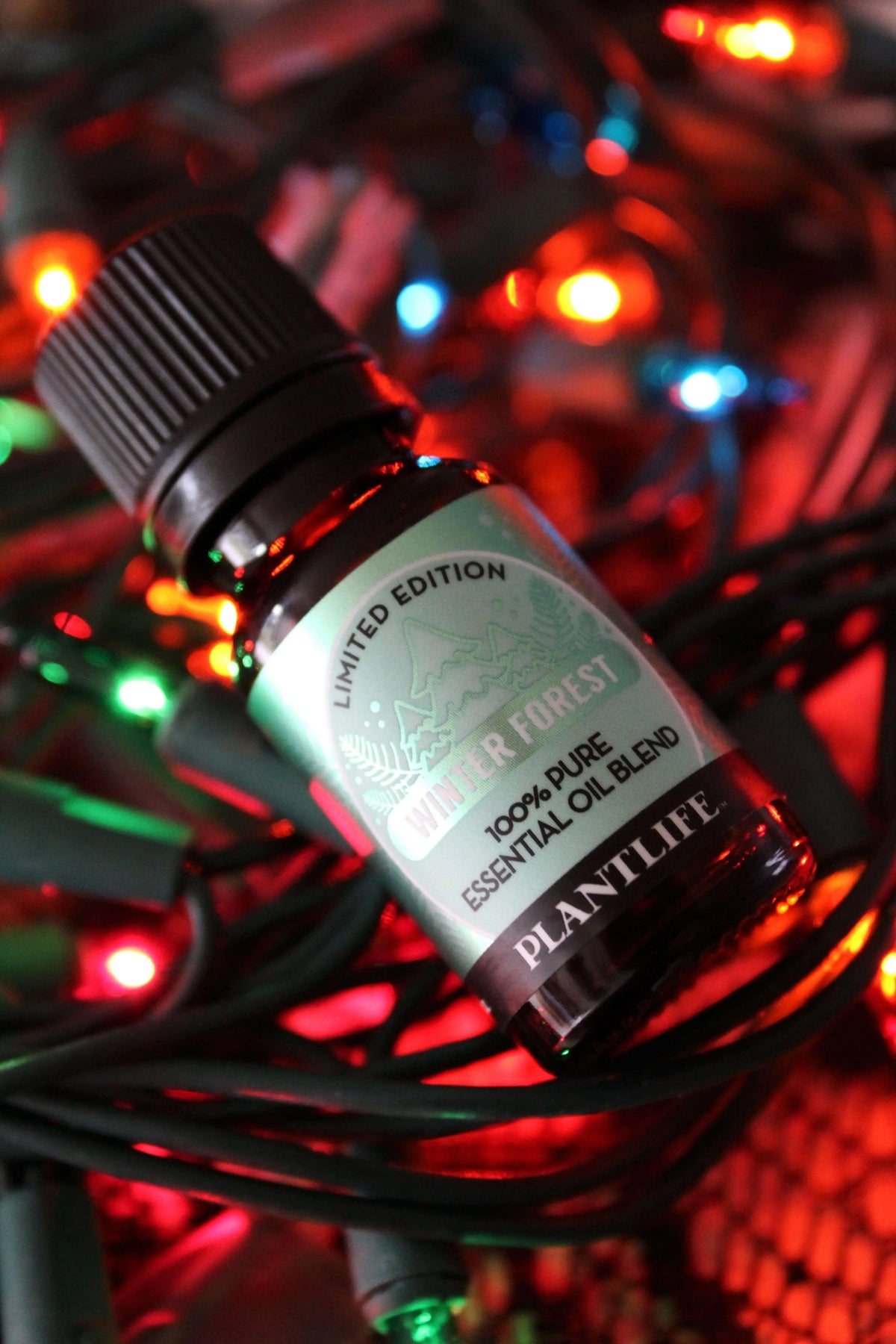 Winter Forest essential oil bottle with a light green forest-themed label, resting on colorful holiday string lights.