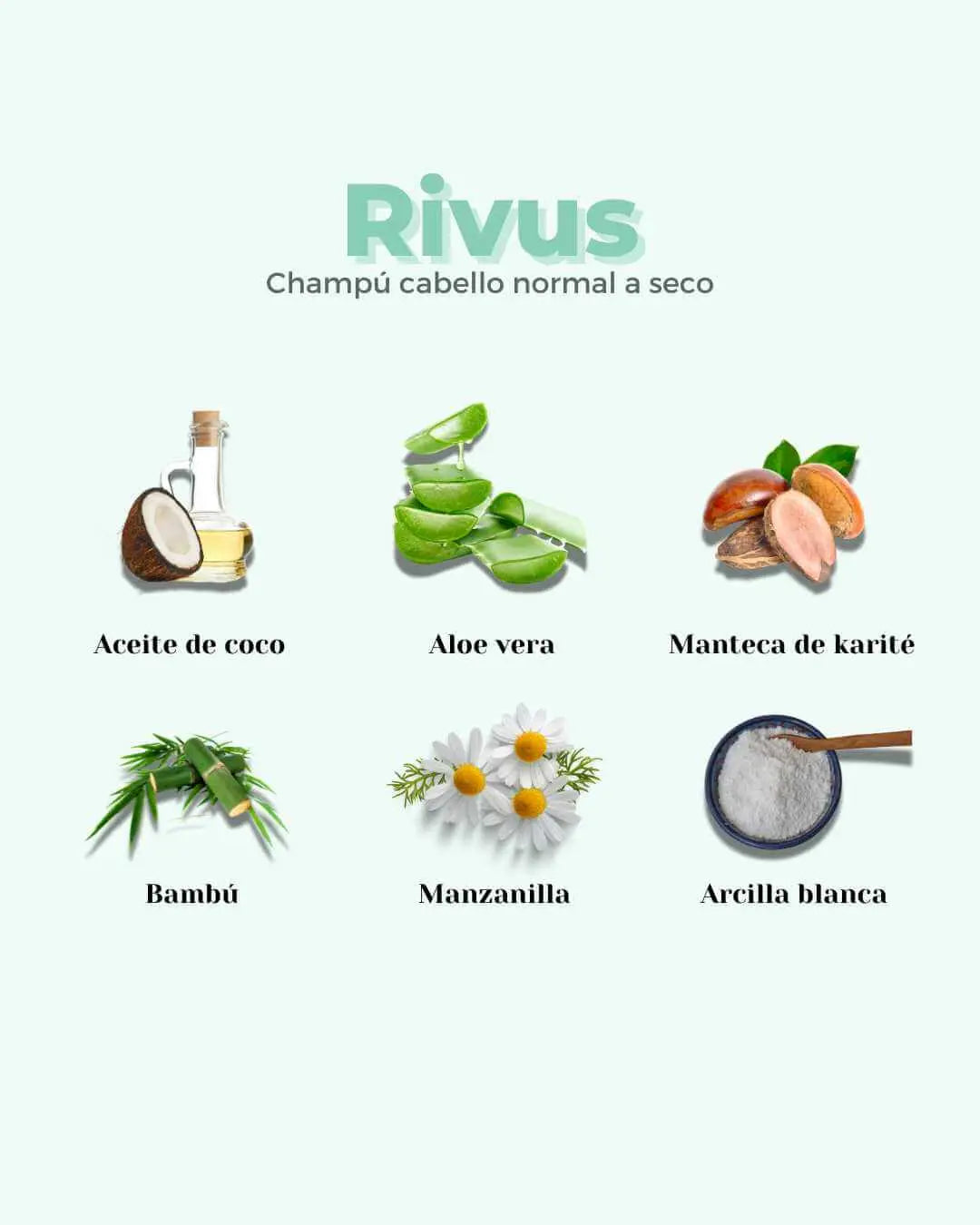 Ingredientes del champú sólido Banbu Rivus: coco, aloe vera, karité, bambú, manzanilla y arcilla sobre fondo verde claro.