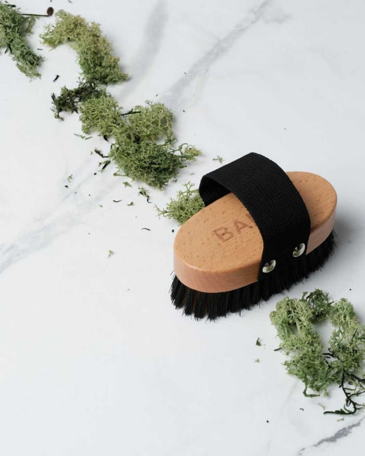 Cepillo de madera natural Banbu para mascotas con cerdas y cinta negra, sobre fondo de mármol y detalles de musgo verde.