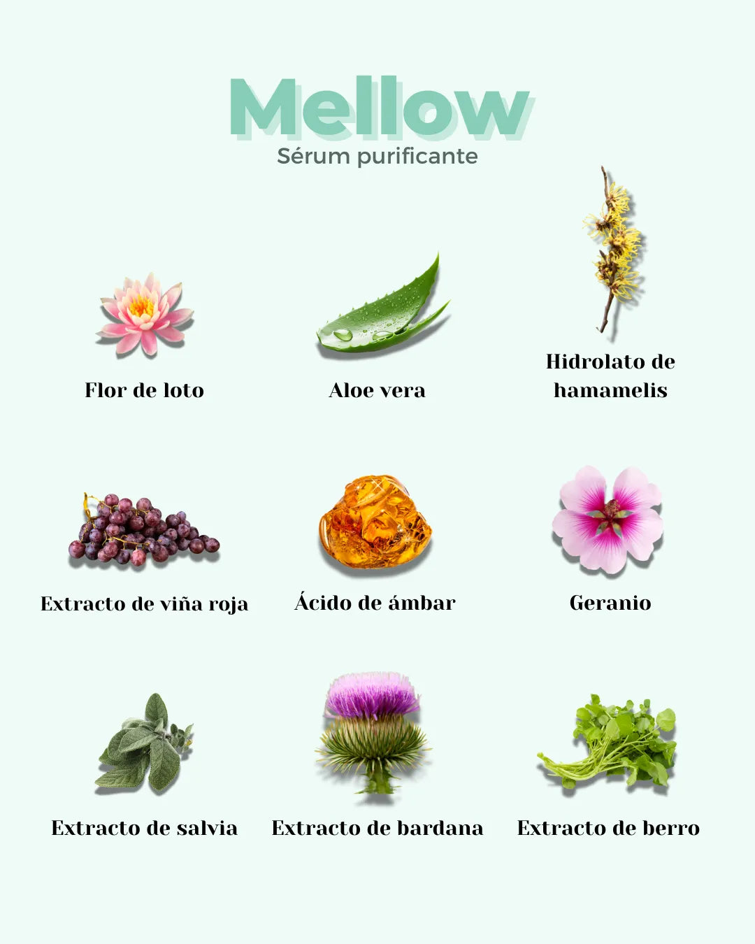 Infografía del sérum Banbu Mellow mostrando sus 9 ingredientes botánicos naturales sobre fondo verde claro.