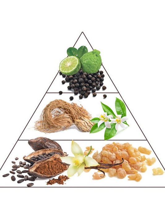 Fragrance pyramid showing bergamot, black pepper, vetiver, orange blossom, cocoa, vanilla, and resin ingredients.