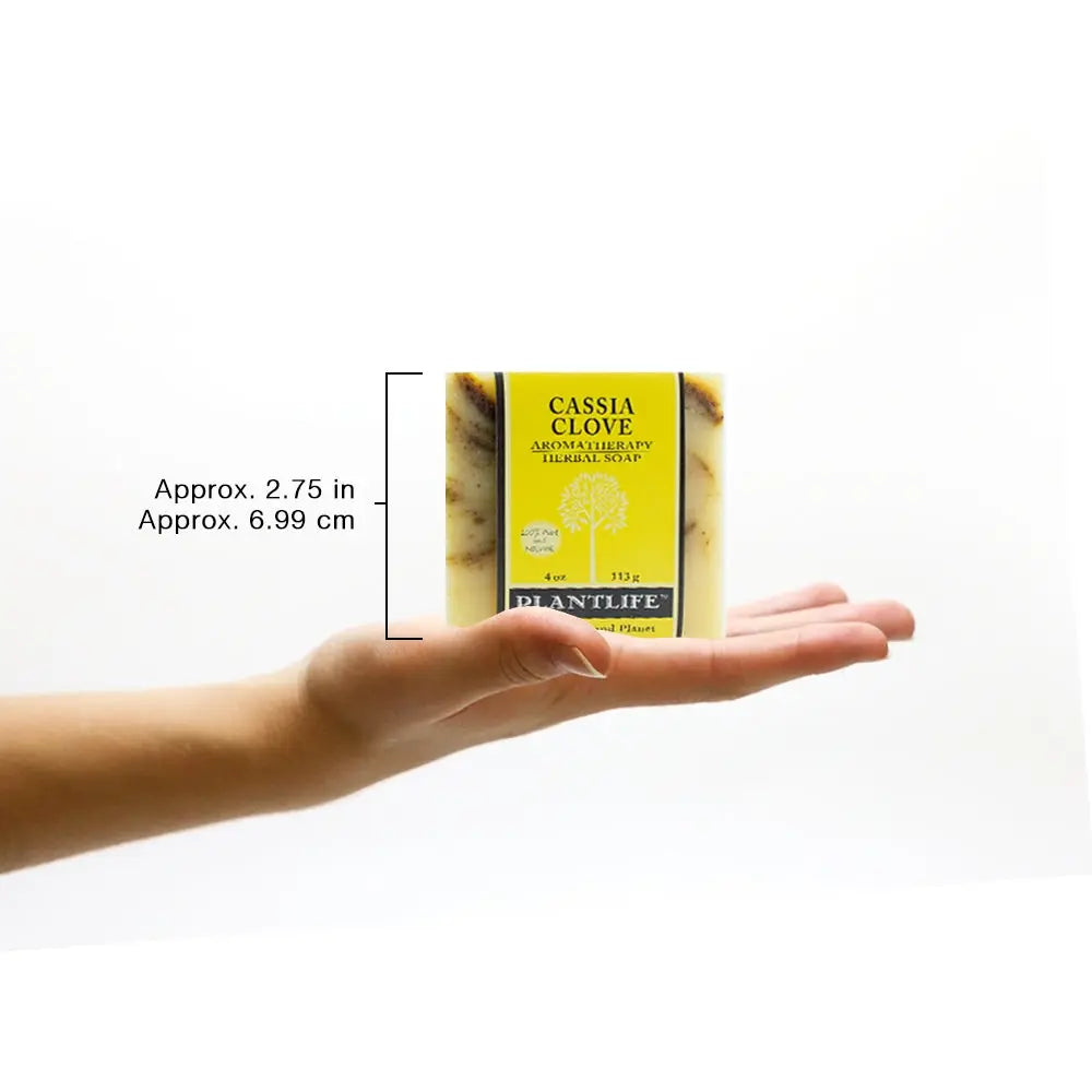 A hand holds a 2.75-inch square Cassia Clove herbal soap bar wrapped in yellow branding against a white background.