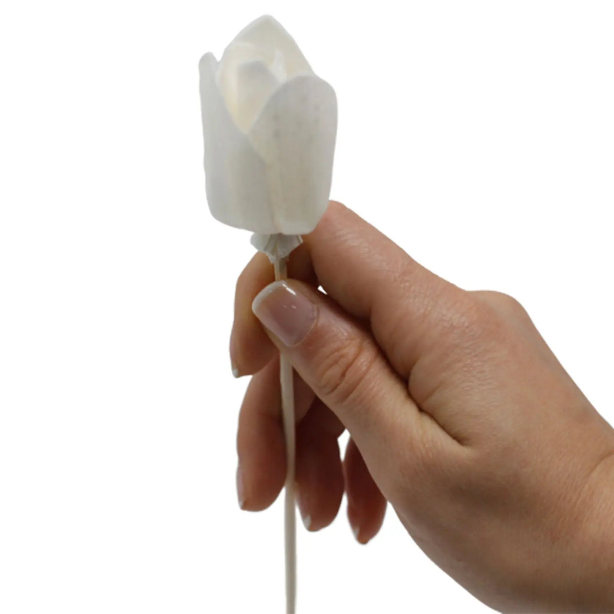 Mano sosteniendo una flor difusora blanca hecha a mano de madera de sola con un tallo de caña sobre fondo blanco.