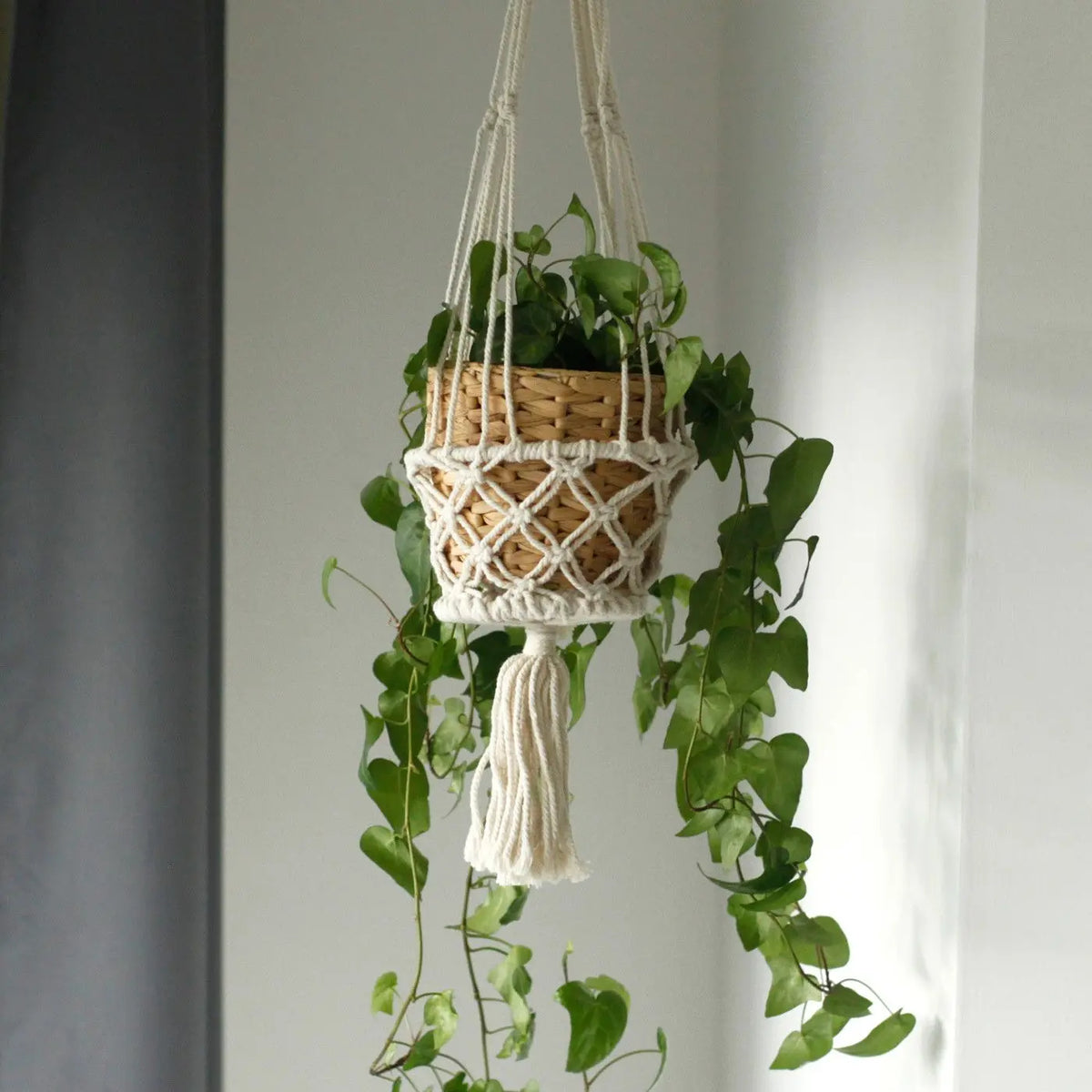 Macramé colgante blanco con unión en cuerda, maceta de mimbre y plantas verdes decorativas.