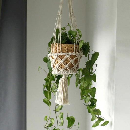 Macramé colgante blanco con unión en cuerda, maceta de mimbre y plantas verdes decorativas.