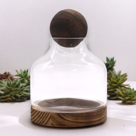 Terrario de vidrio con base circular y tapa esférica de madera oscura, sobre fondo blanco con suculentas decorativas.