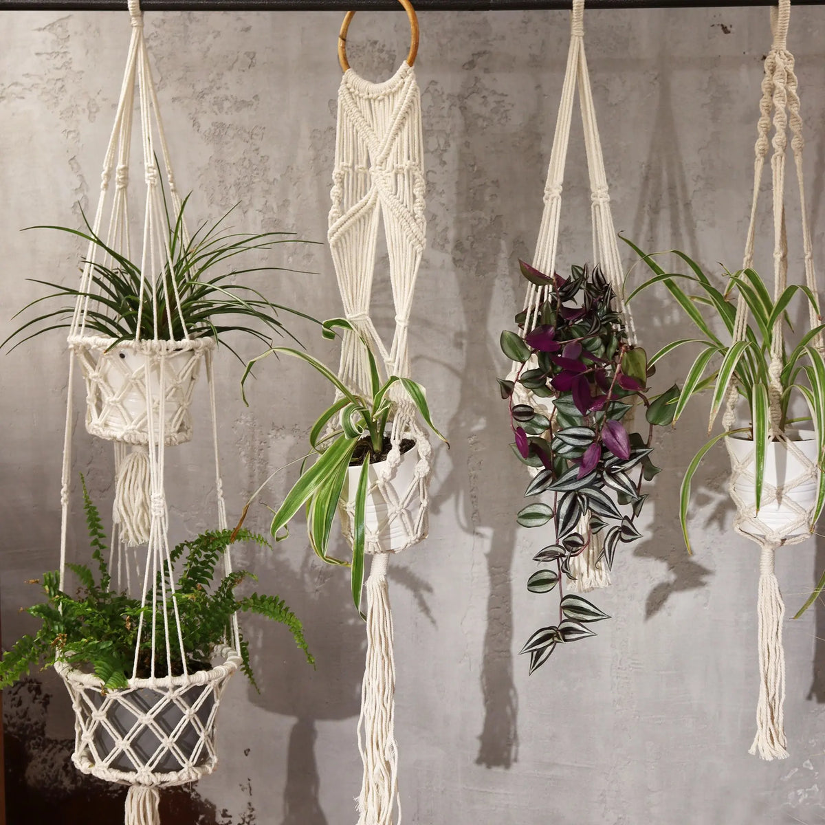 Macramé blanco para plantas colgantes, con macetas de cerámica, estilo boho, ideal para decoración interior.