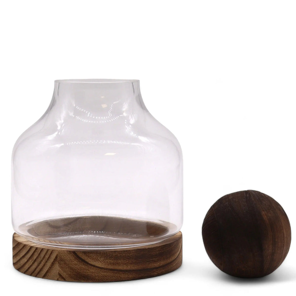 Terrario de vidrio transparente sobre base de madera de tung oscura con tapa esférica decorativa a juego sobre fondo blanco
