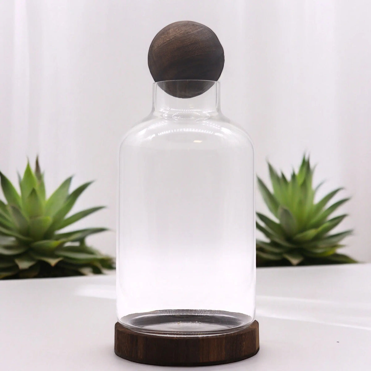 Terrario de vidrio cilíndrico con base y tapa de madera oscura esférica. Estilo minimalista sobre fondo blanco.