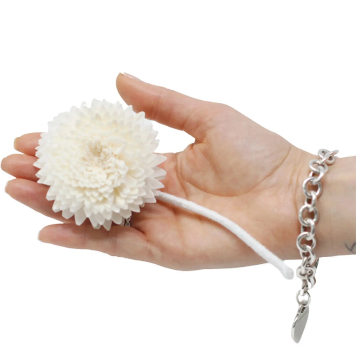Mano sosteniendo una flor difusora blanca de pétalos finos con una mecha de cuerda, sobre fondo blanco.