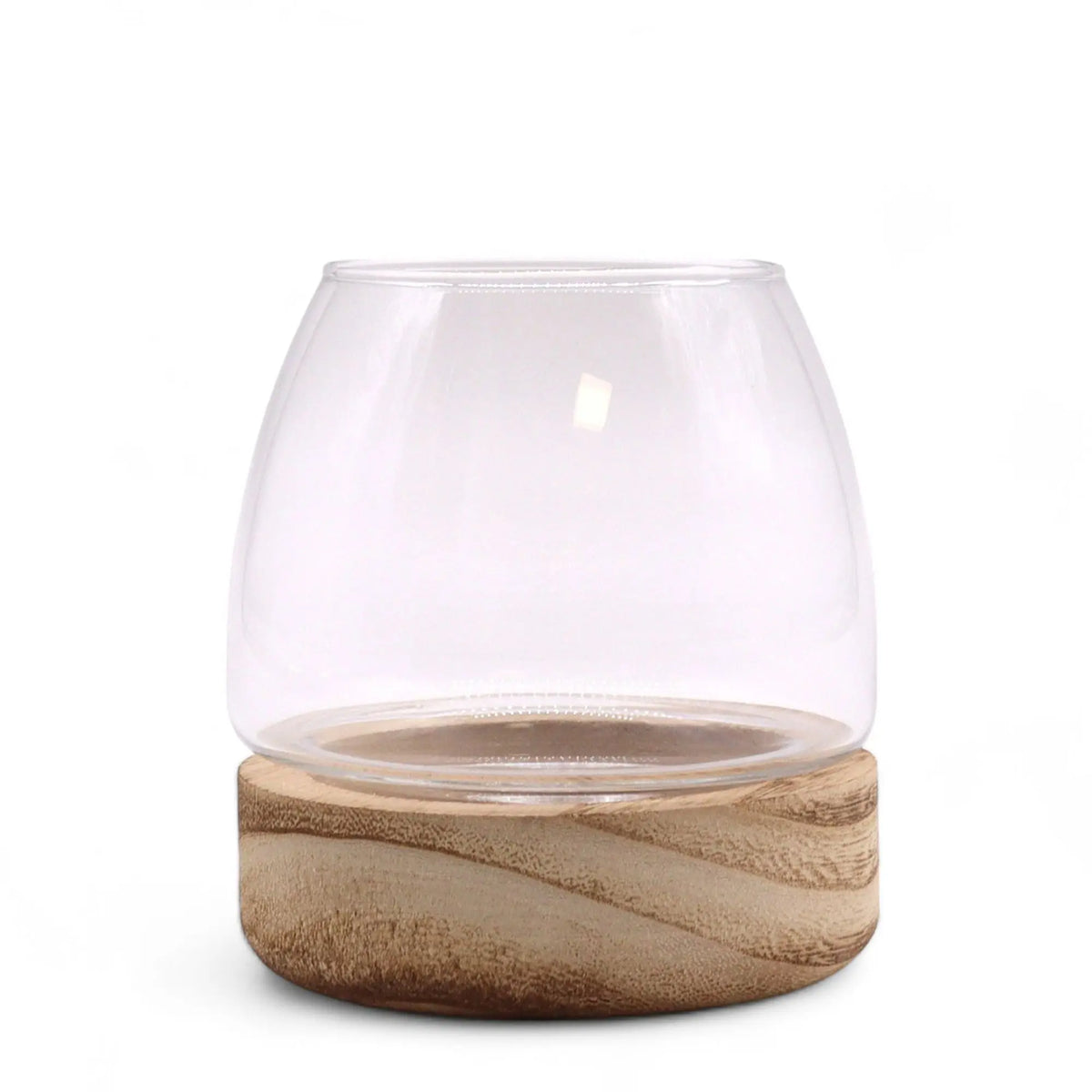 Terrario pequeño de vidrio transparente con base circular de madera natural veteada sobre fondo blanco.