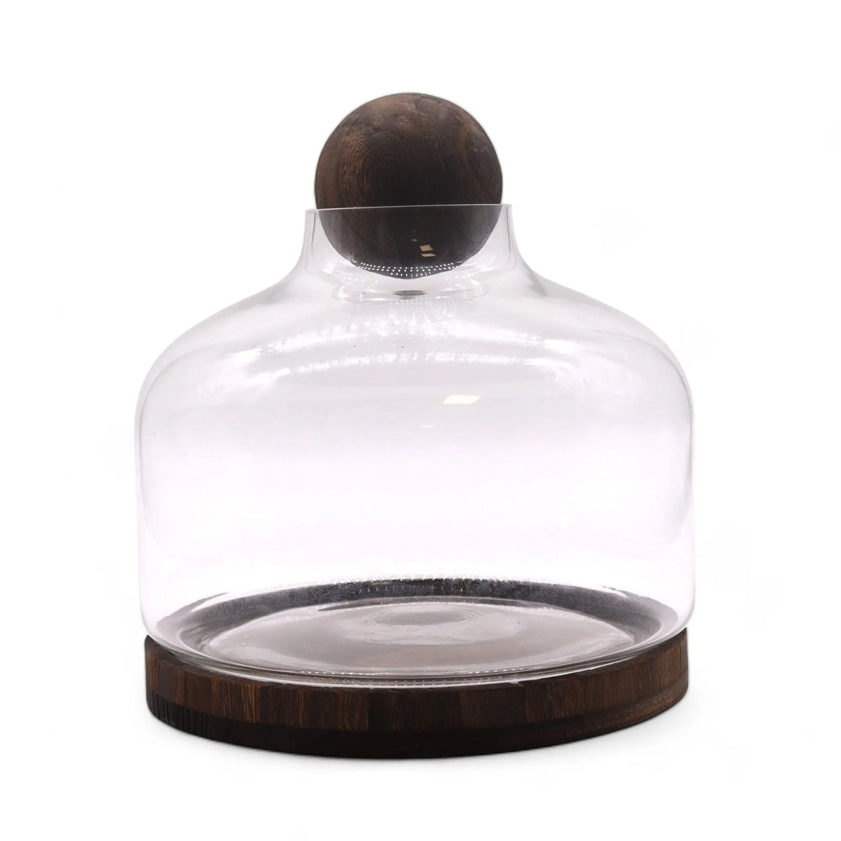Terrario de vidrio con base circular y tapa esférica de madera oscura sobre fondo blanco. Estilo moderno y elegante.