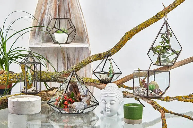 Colección de terrarios geométricos de vidrio con marco metálico oscuro, exhibidos con plantas y una figura de Buda.
