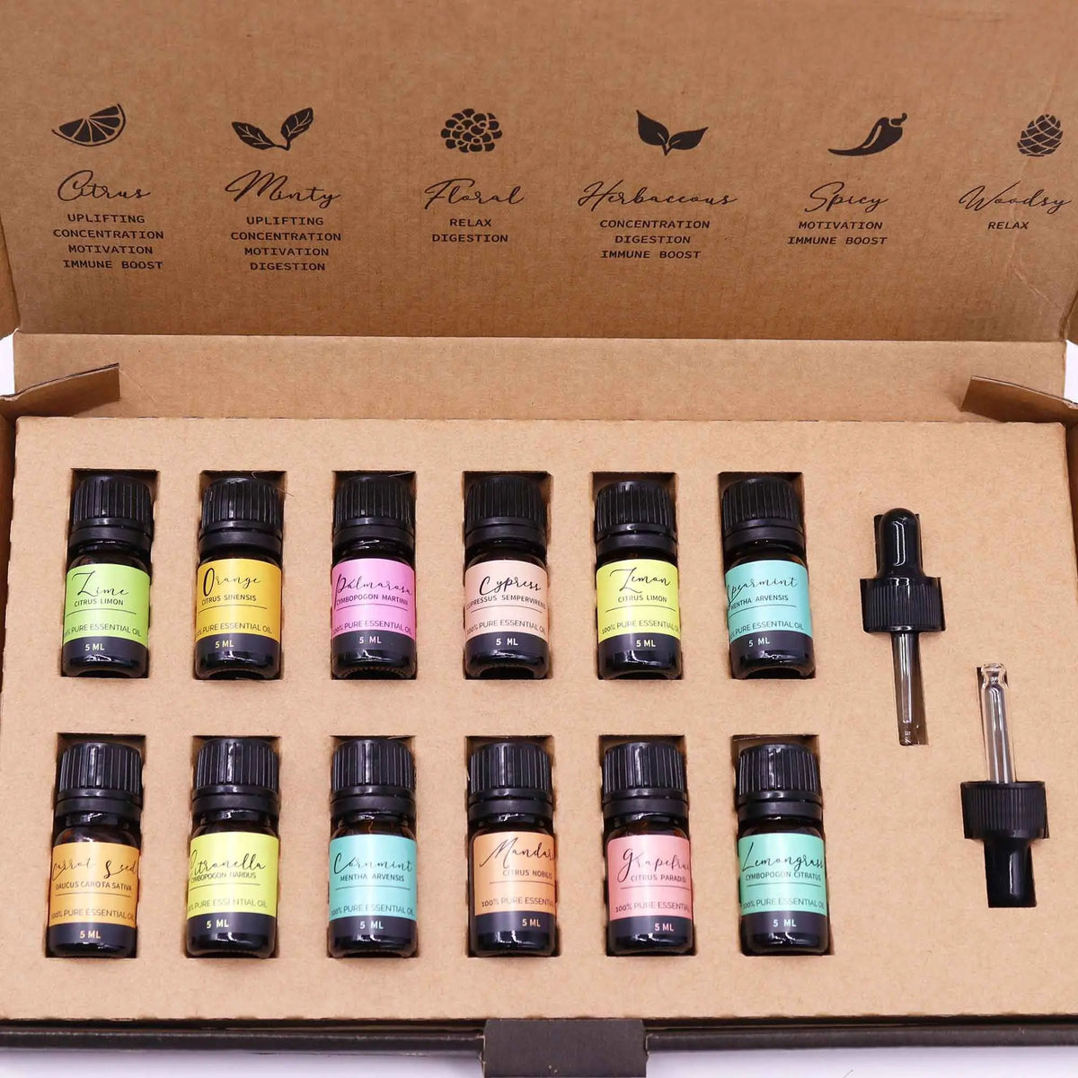 Juego de 12 aceites esenciales en frascos de 10ml, colores variados, en caja de cartón kraft, ideales para aromaterapia.