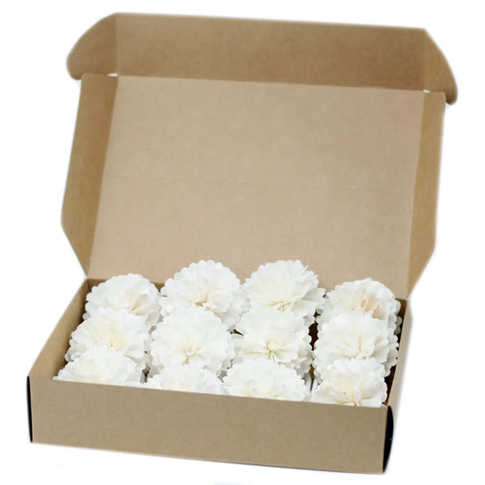 Caja de cartón kraft abierta con flores difusoras blancas de diseño tipo clavel con cordel, fondo blanco.
