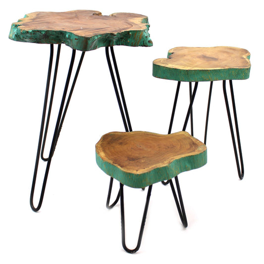 Juego de tres soportes para plantas con rodajas de madera natural y bordes verdosos sobre patas de metal negro.