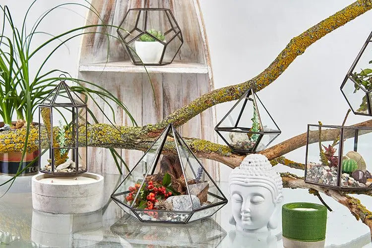 Terrarios geométricos de vidrio con marcos metálicos oscuros, conteniendo pequeñas plantas, piedras y decoración.