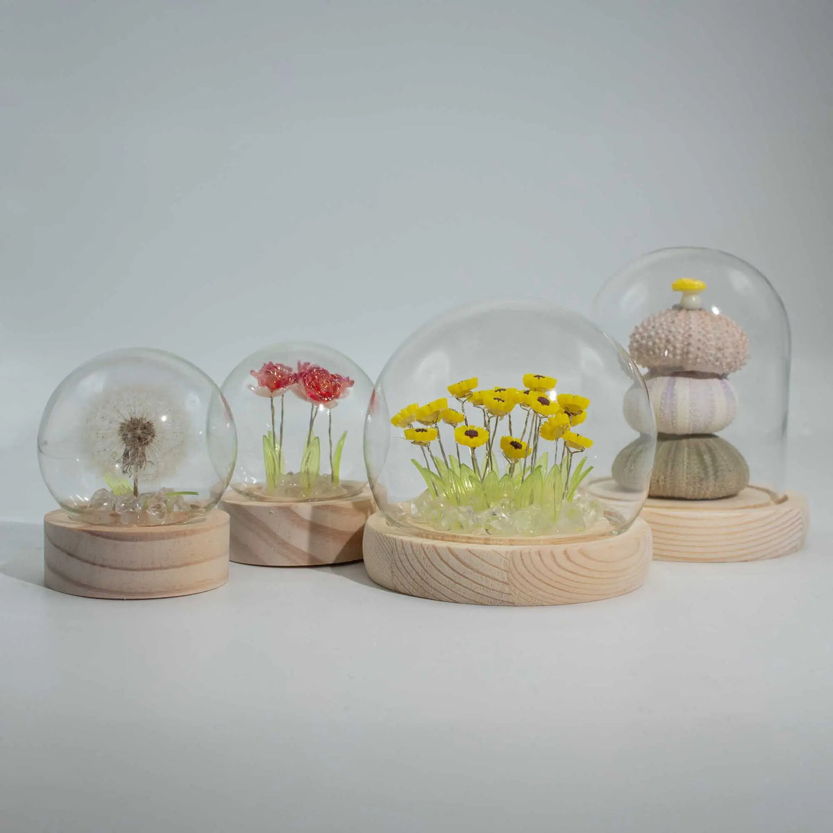 Domos de cristal con flores y elementos naturales sobre bases de madera clara. Diseño decorativo estilo Floral Glow.