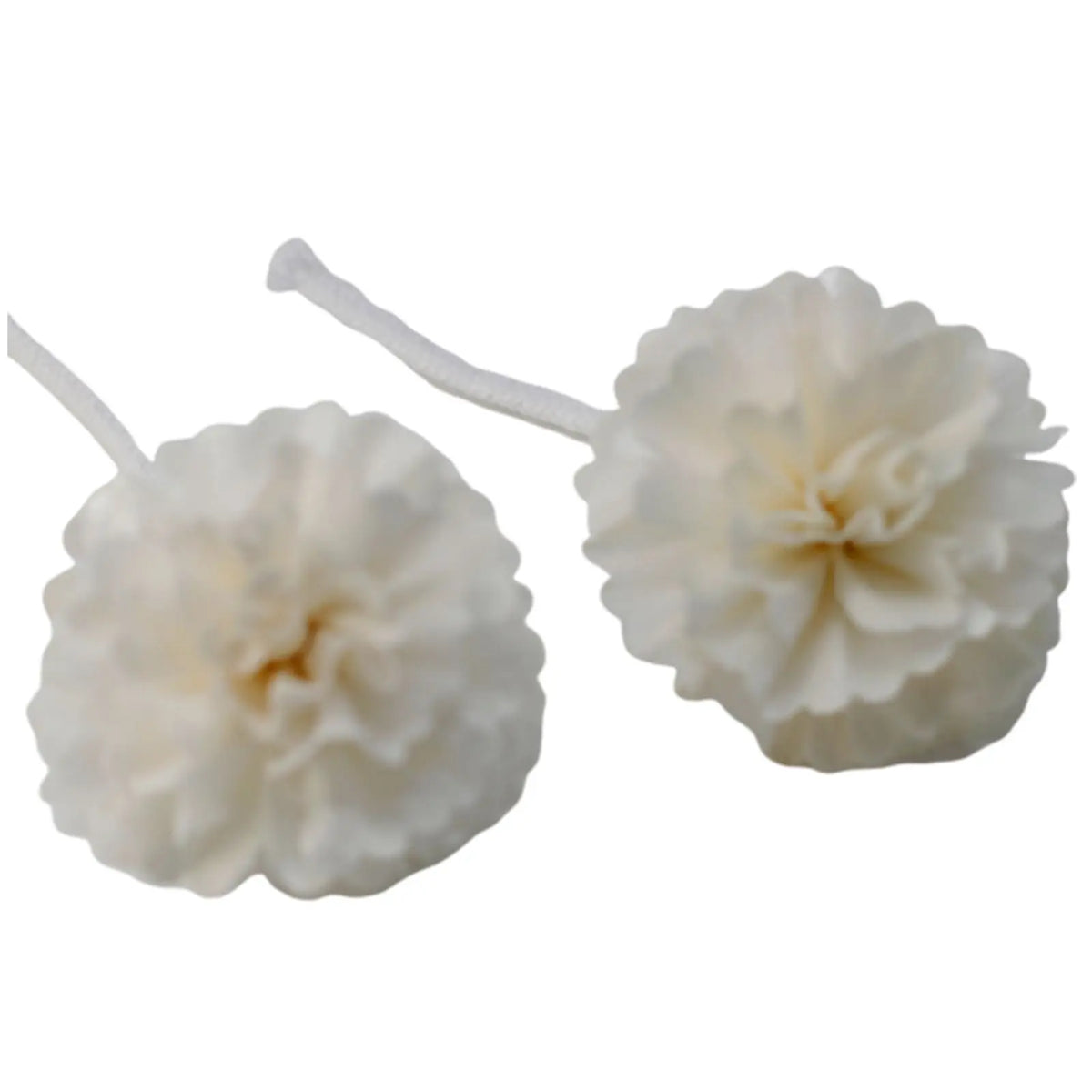 Dos flores blancas de estilo clavel hechas de material natural, cada una unida a una cuerda fina para difusor.