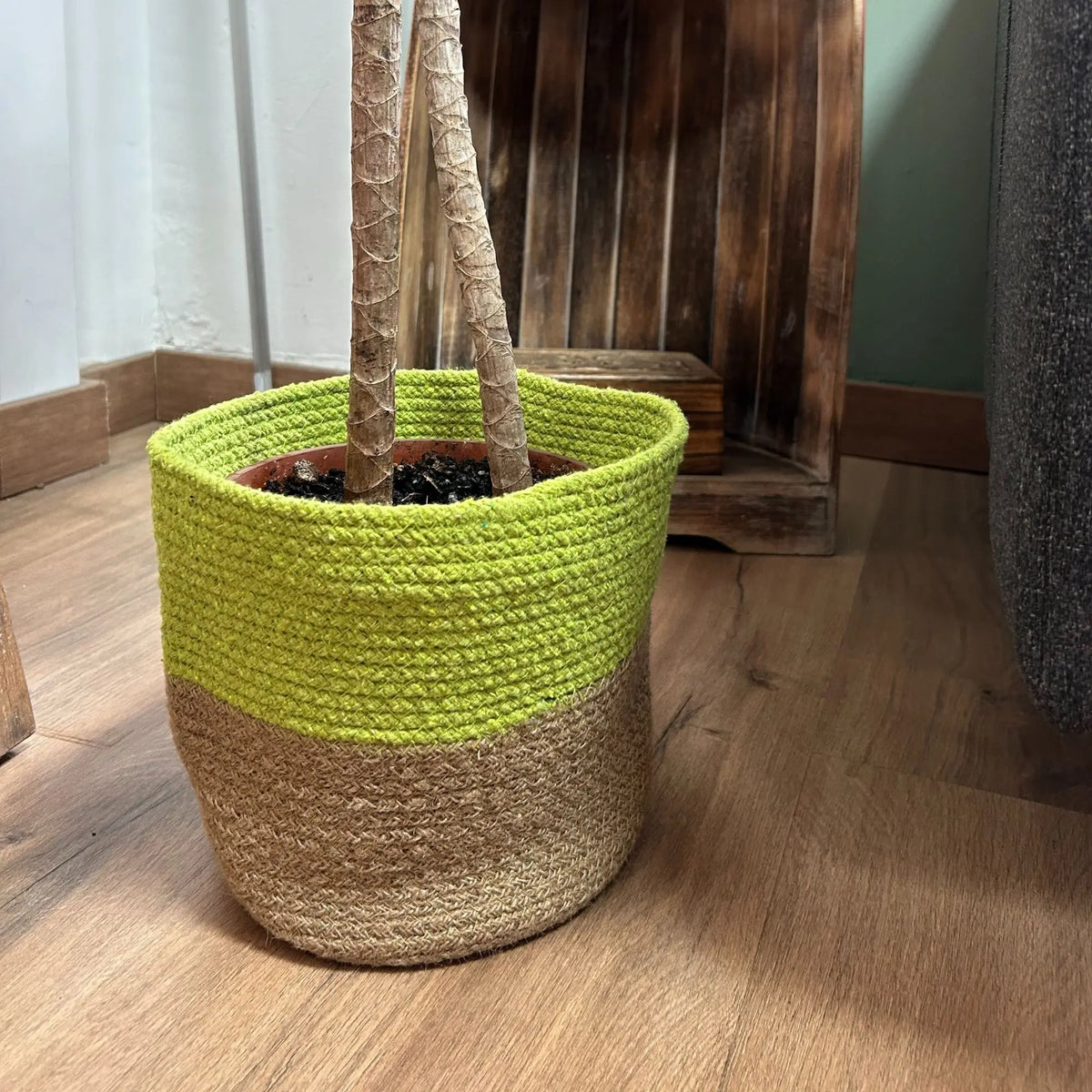 Maceta de yute trenzado en beige y verde lima, ideal para decorar interiores con estilo moderno.