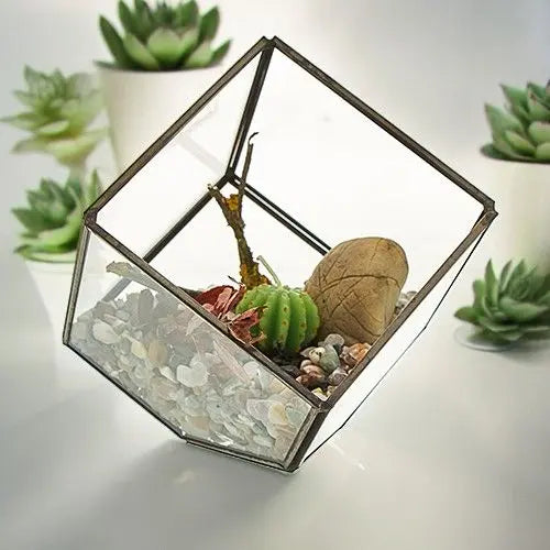 Terrario de vidrio en forma de cubo sobre una esquina, con marco metálico, piedras, cactus y una roca decorativa.