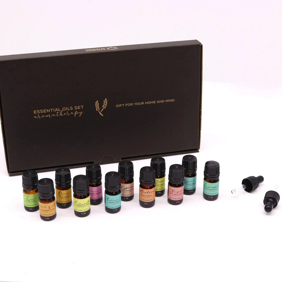 Juego de aceites esenciales en caja negra, 12 frascos de vidrio de 10 ml en colores variados, ideal para aromaterapia.
