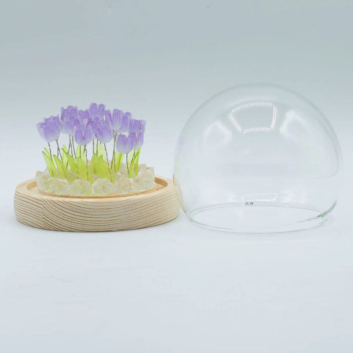 Domo de jardín con 20 tulipanes morados sobre base de madera y cúpula de cristal, con iluminación LED USB.