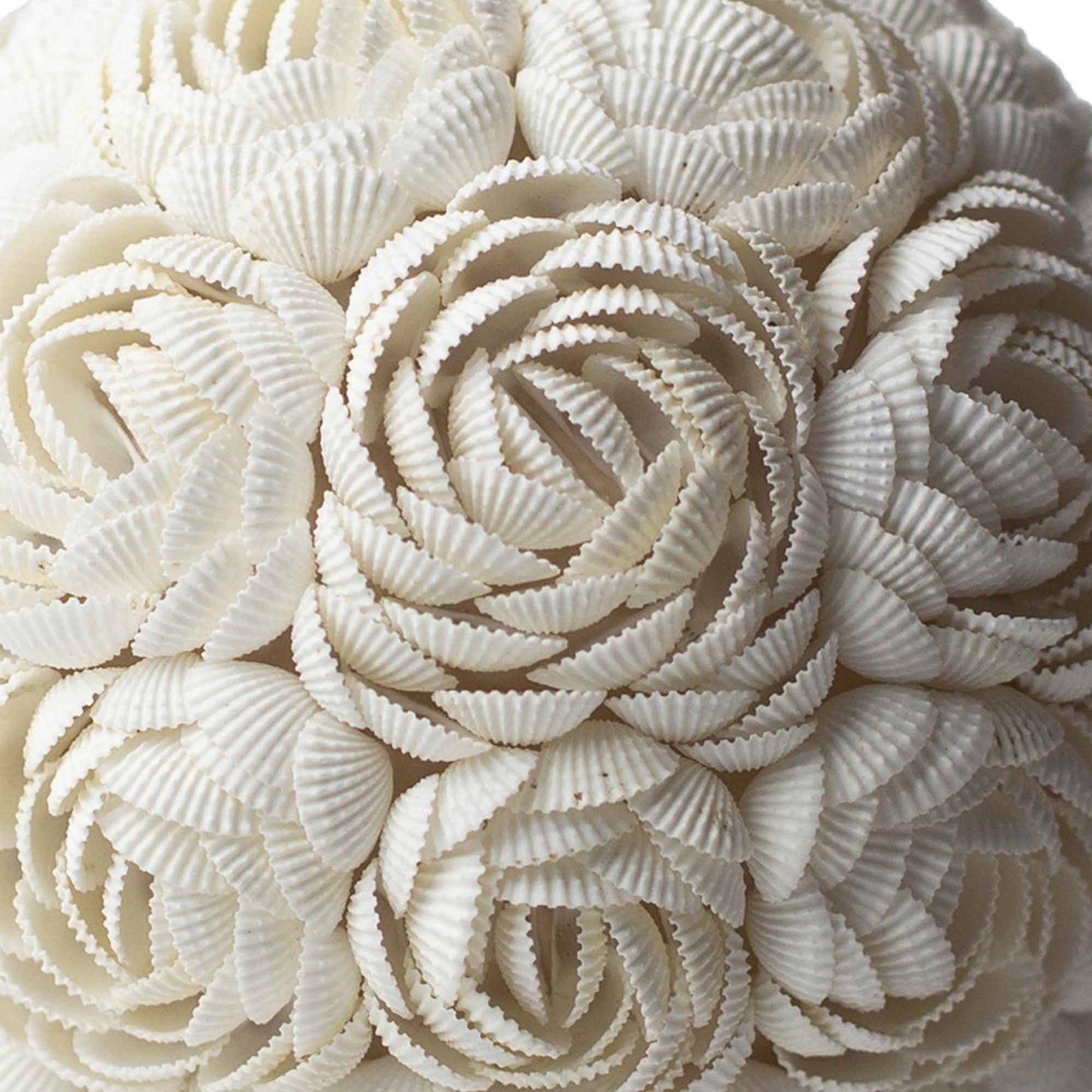 Lámpara estilo boho hecha a mano con conchas blancas dispuestas en forma de flores, creando una textura superpuesta.