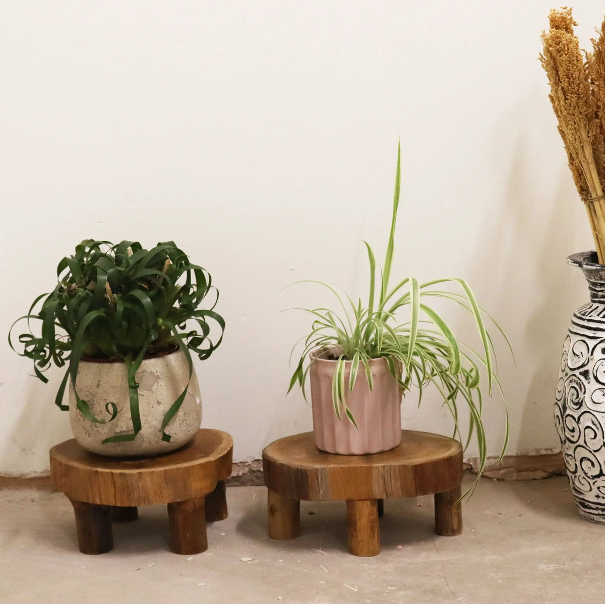 Dos soportes bajos de madera de teca natural con tres patas, sosteniendo macetas con plantas sobre una superficie clara.