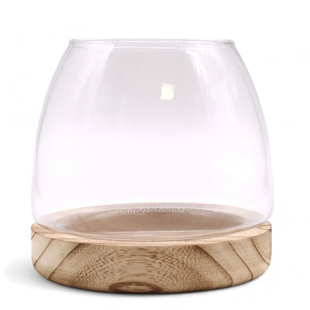 Terrario de vidrio transparente con base de madera de tung natural, diseño cilíndrico minimalista, 15x15 cm