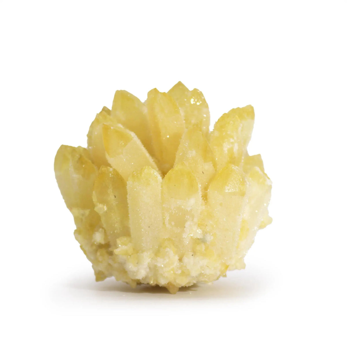 Racimo de cristales de cuarzo amarillo brillante, con puntas translúcidas y base rugosa sobre fondo blanco.