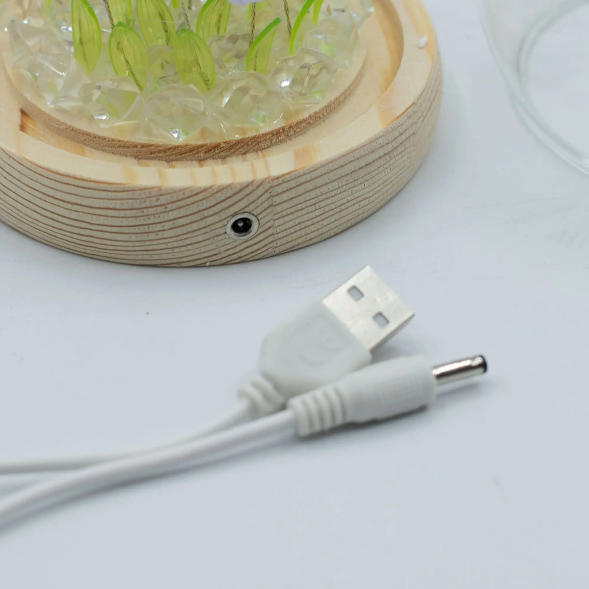 Domo de jardín con tulipanes sobre base de madera clara, piedras decorativas y cable de alimentación USB incluido.
