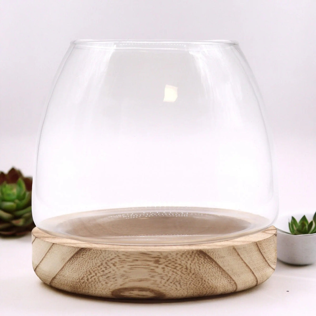 Terrario de vidrio transparente con base circular de madera de tung natural, estilo minimalista sobre fondo blanco.