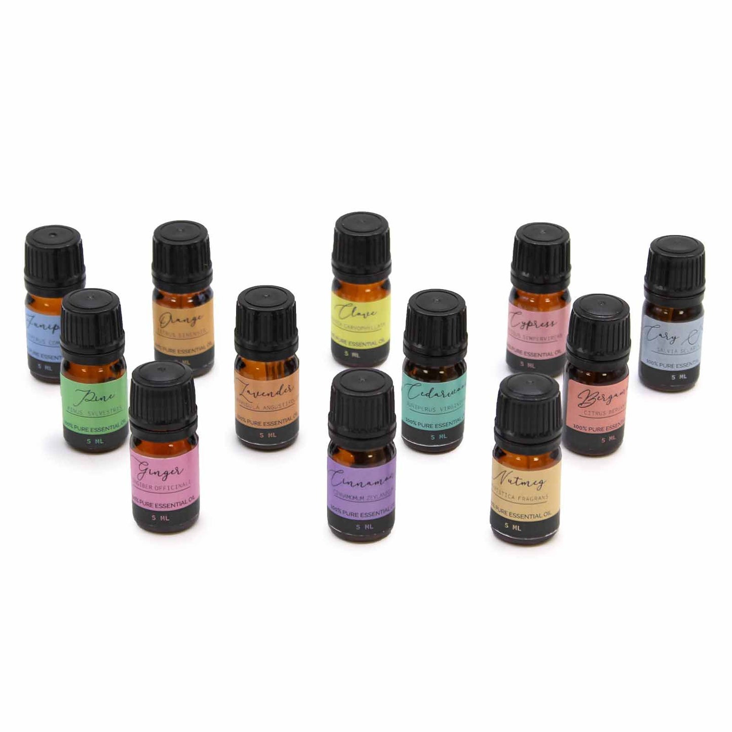 Set de 12 aceites esenciales en frascos de vidrio ámbar, etiquetas de colores pastel, ideales para aromaterapia.