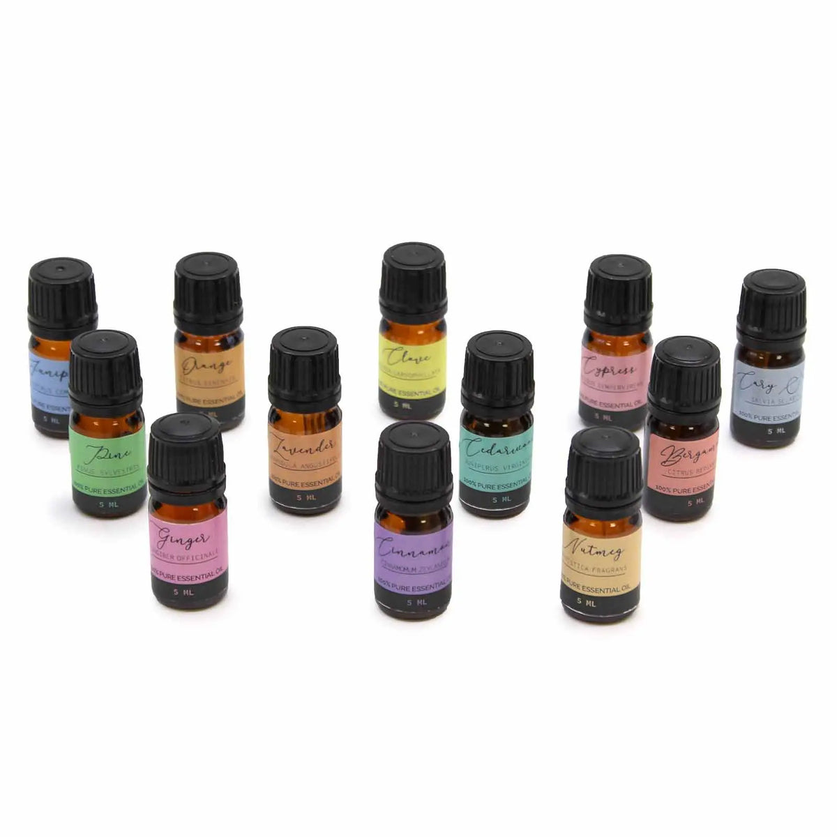 Set de 12 aceites esenciales en frascos de vidrio ámbar, etiquetas de colores pastel, ideales para aromaterapia.