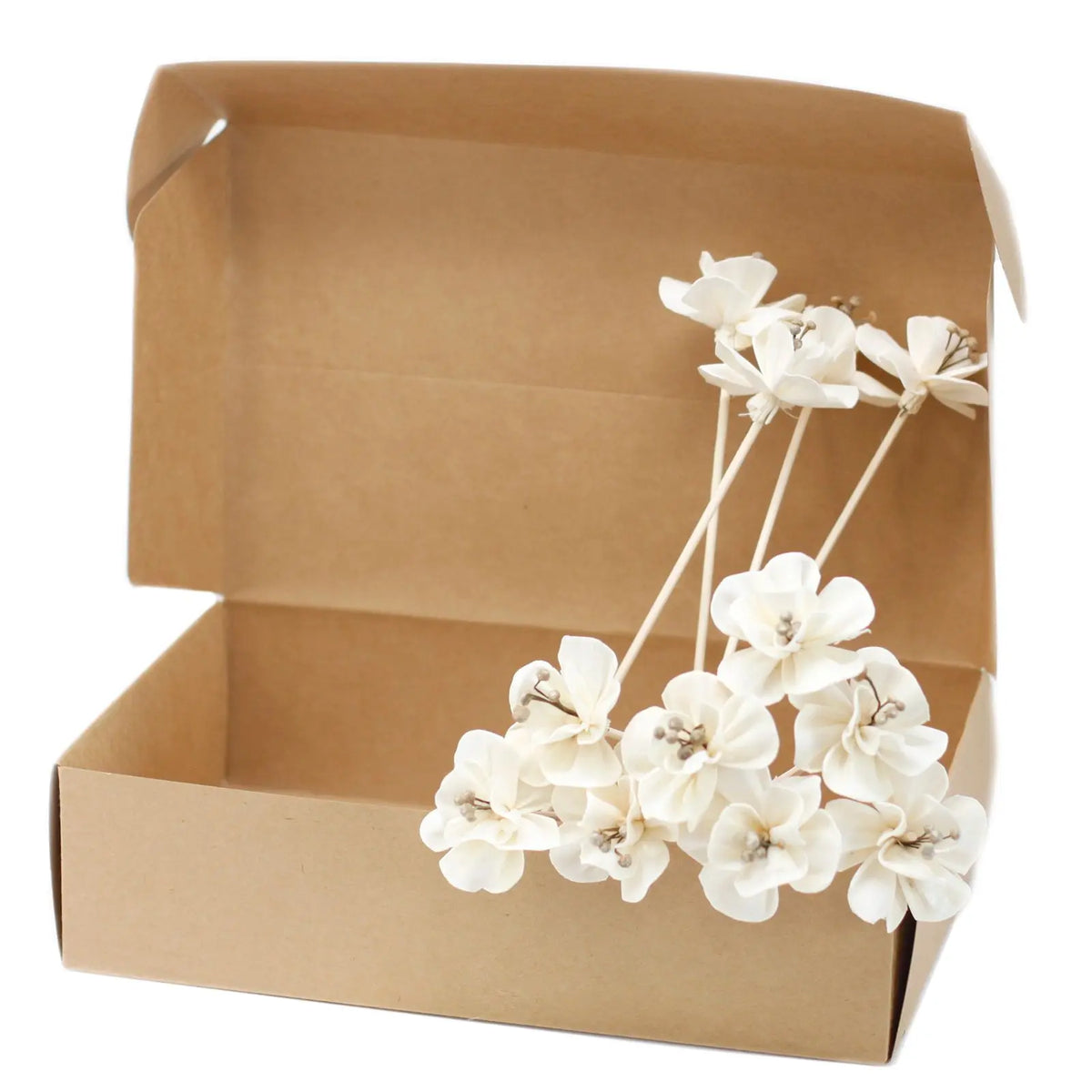 Flores difusoras blancas de madera sobre caña natural en una caja de cartón kraft abierta.