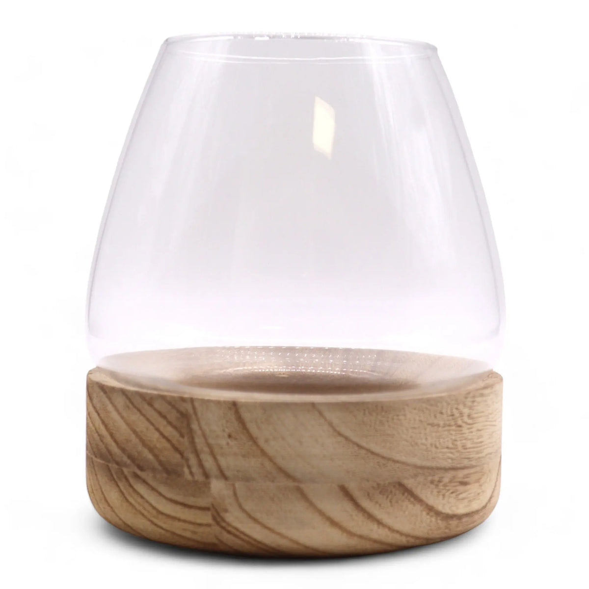 Terrario de vidrio transparente con base circular de madera natural con vetas visibles, sobre fondo blanco.
