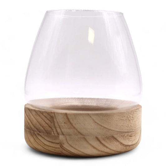 Terrario de vidrio transparente con base circular de madera natural con vetas visibles, sobre fondo blanco.