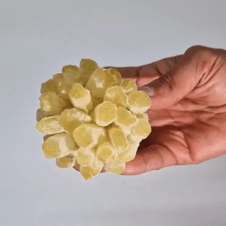 Mano sosteniendo un racimo de cristales de cuarzo amarillo con forma esférica y puntas hexagonales semitransparentes.