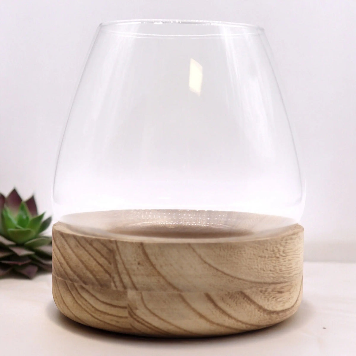 Terrario con cúpula de vidrio transparente y base cilíndrica de madera natural con vetas visibles.