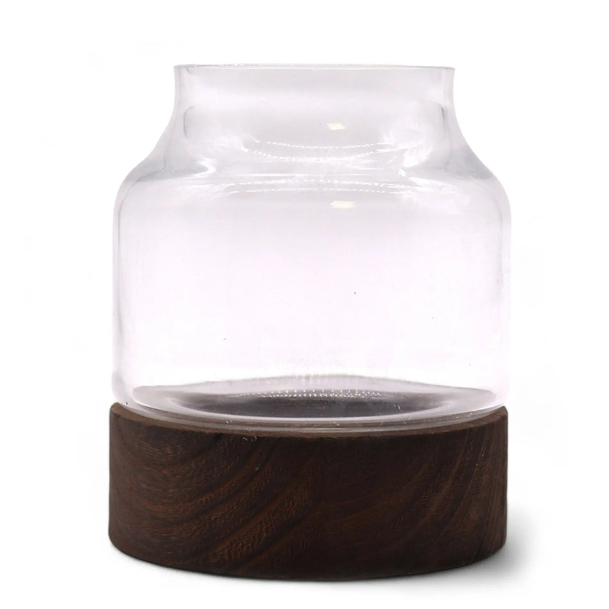 Terrario pequeño de vidrio transparente sobre base cilíndrica de madera de tung oscura, estilo minimalista.